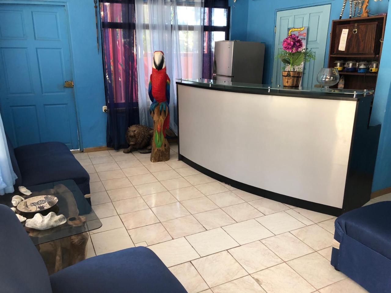 Hotel La Uvita 利蒙港 外观 照片