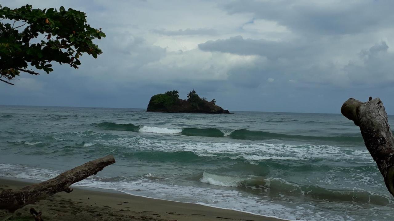 Hotel La Uvita 利蒙港 外观 照片